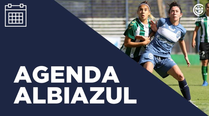 Imagen de la novedad