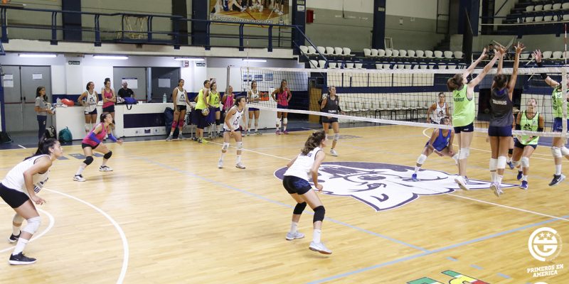 Imagen de la novedad