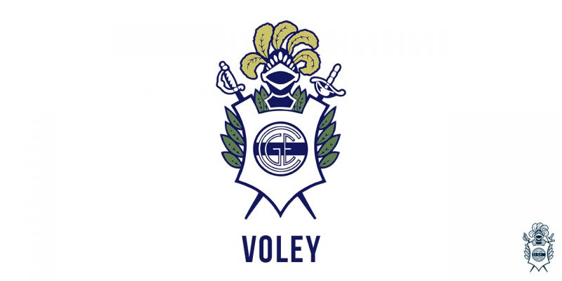 Imagen de la novedad
