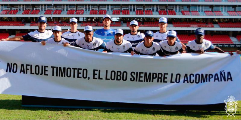 Imagen de la novedad