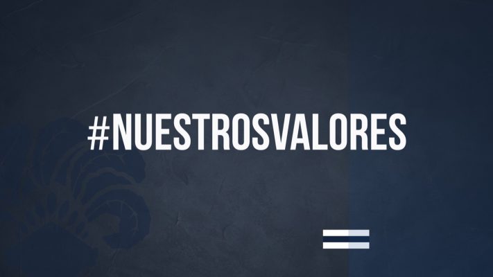 Imagen de la novedad