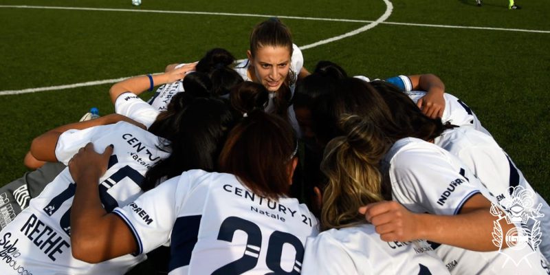 Imagen de la novedad