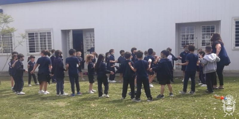 Imagen de la novedad