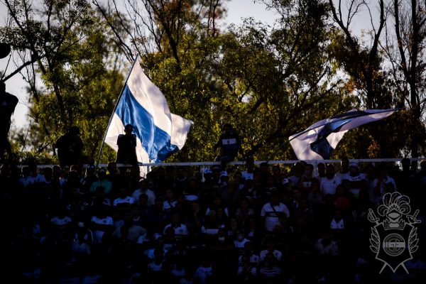 Imagen de la novedad