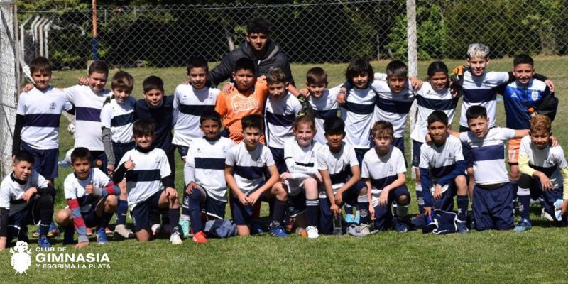 Imagen de la novedad