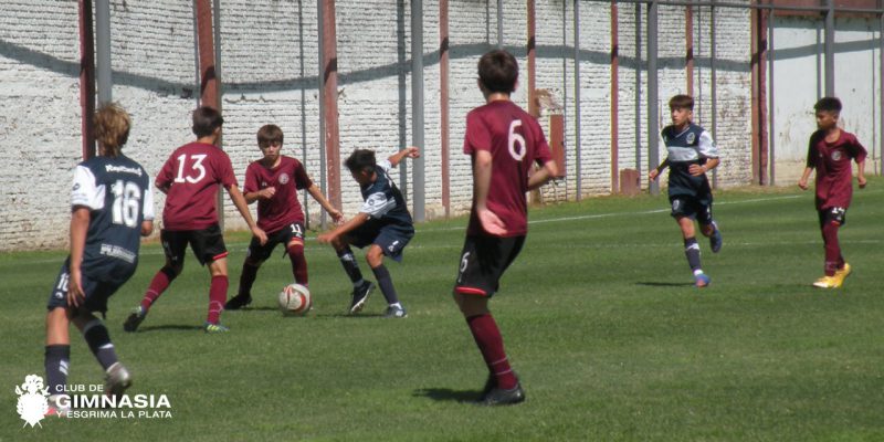 Imagen de la novedad