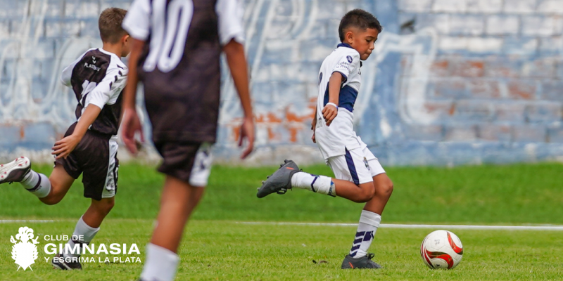Imagen de la novedad