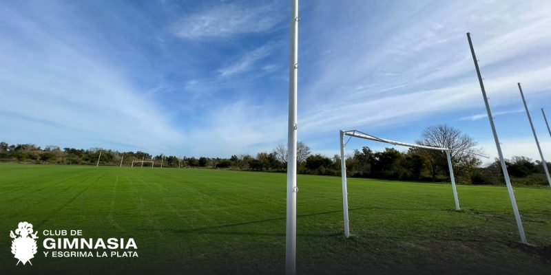 Imagen de la novedad