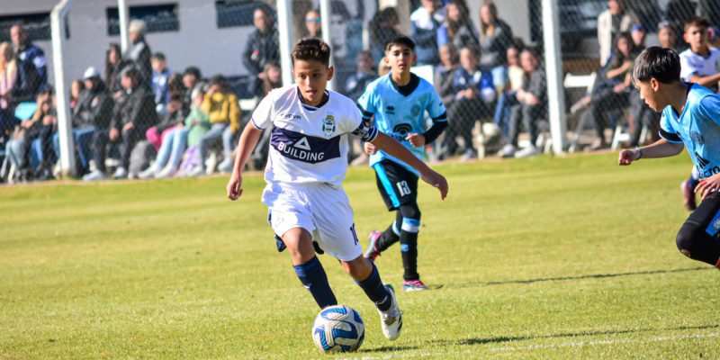 Imagen de la novedad