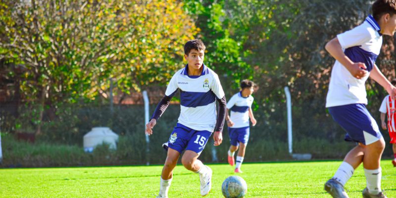 Imagen de la novedad