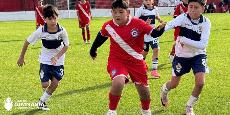 Imagen de la novedad