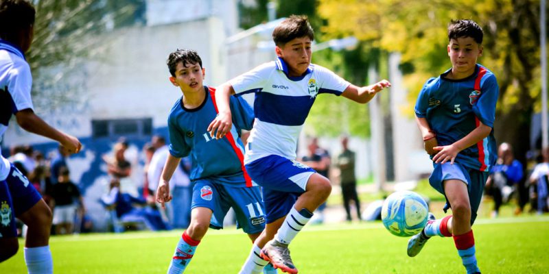 Imagen de la novedad