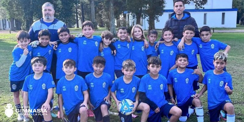 Imagen de la novedad