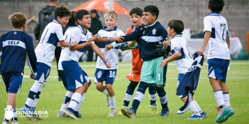 Imagen de la novedad