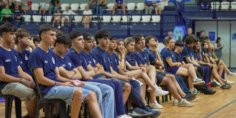 Imagen de la novedad