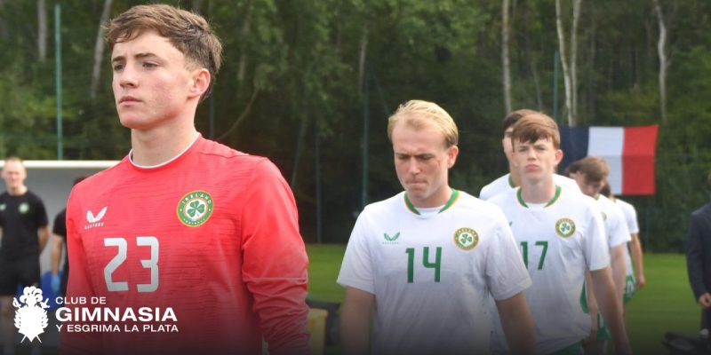 Imagen de la novedad