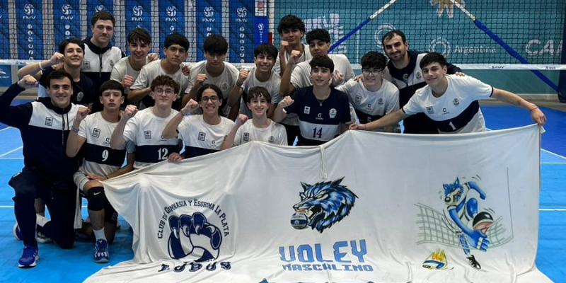 Imagen de la novedad