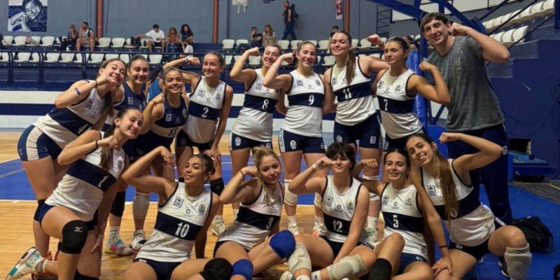 Imagen de la novedad