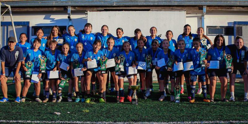 Imagen de la novedad