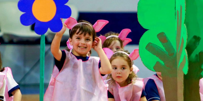 Imagen de la novedad