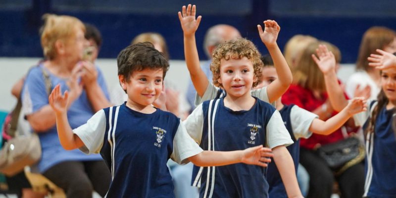 Imagen de la novedad