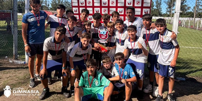 Imagen de la novedad