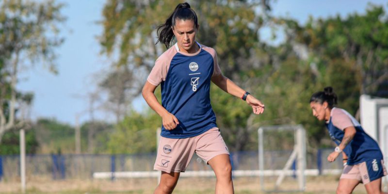 Imagen de la novedad