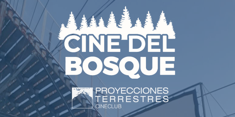 Imagen de la novedad