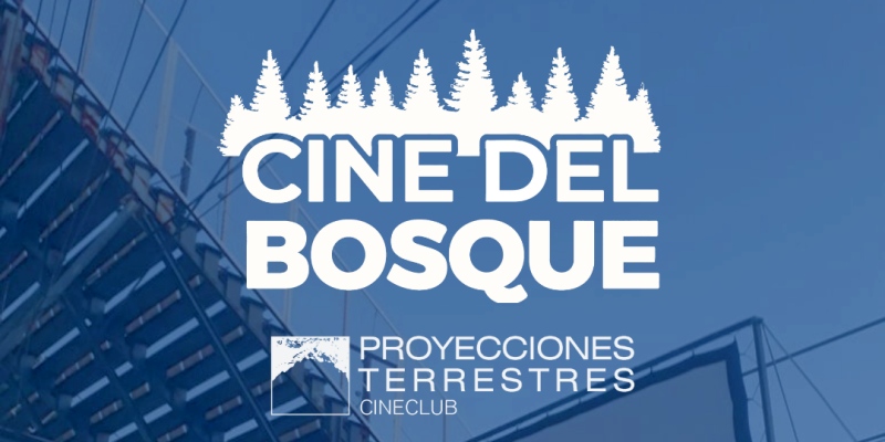 Imagen de la novedad