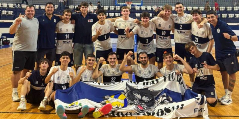 Imagen de la novedad