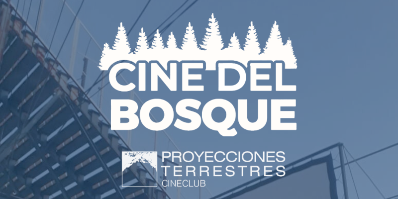 Imagen de la novedad