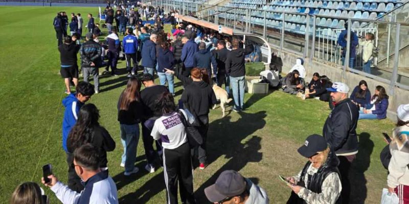 Imagen de la novedad