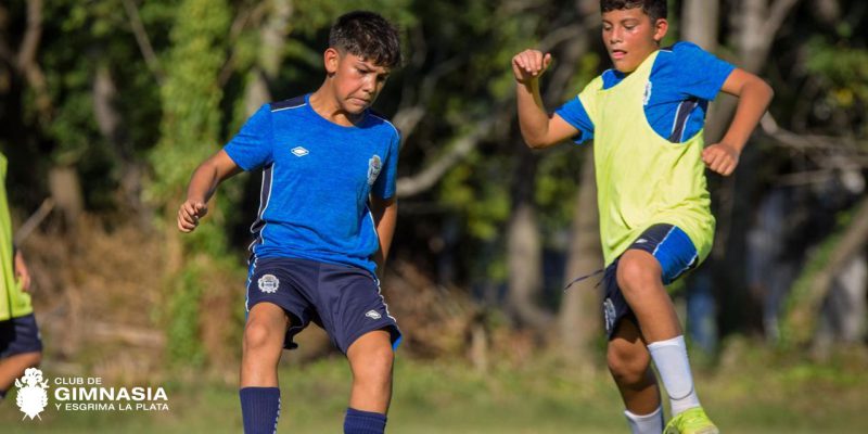 Imagen de la novedad