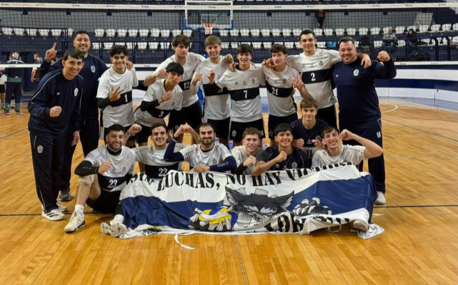 Imagen de la novedad