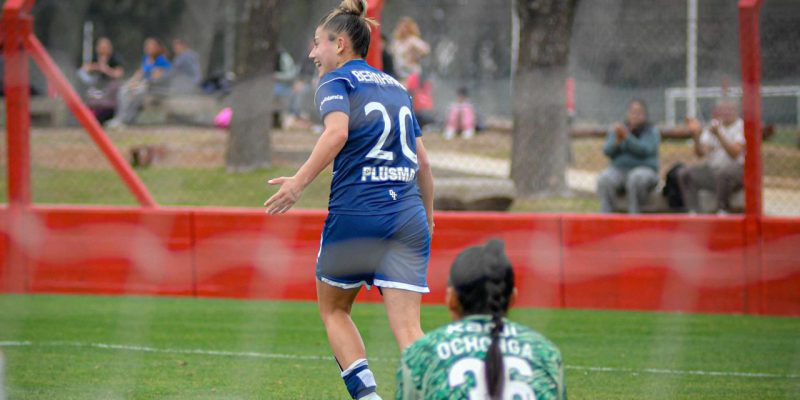 Imagen de la novedad