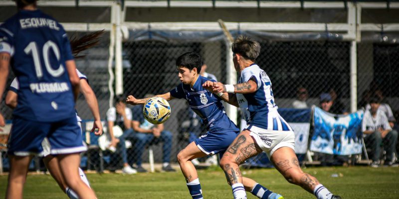 Imagen de la novedad