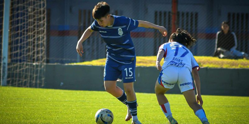 Imagen de la novedad